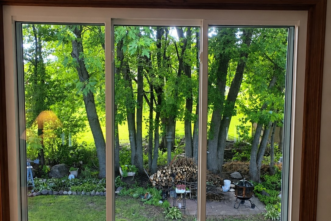 View through a new window onto mature backyard trees